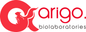 ArigoBio logo