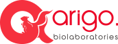 ArigoBio logo