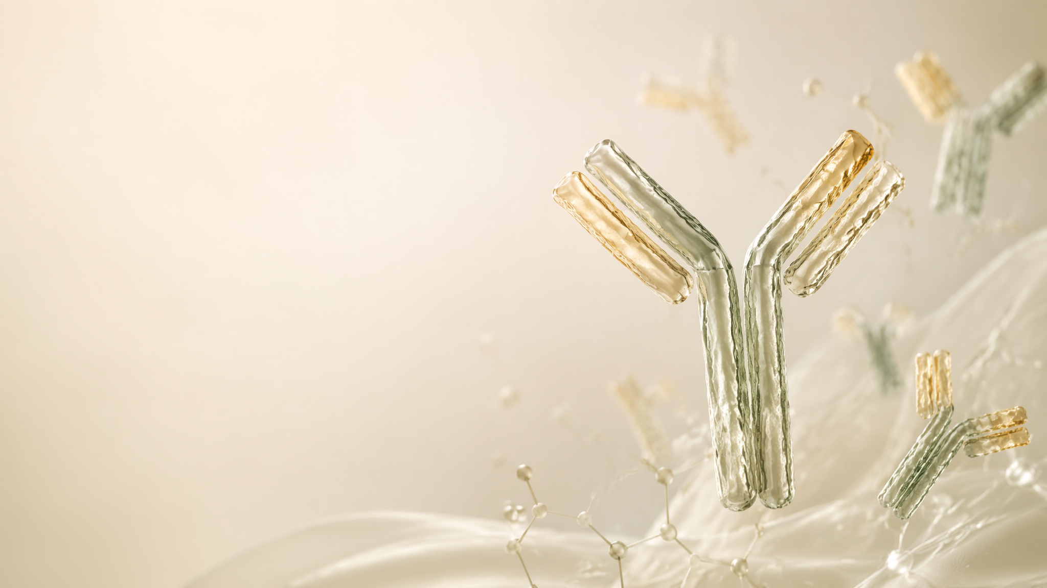 Absea custom antibody service illustration