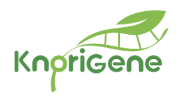 生命知源 Knorigene